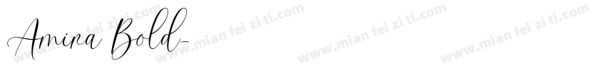 Amira Bold字体转换